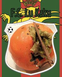 Logo fantacalcio FC Lu Kaku