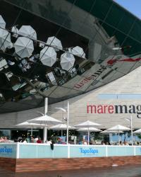 Stagione 24/25 fantAvigliano: MAREMAGNUM TEAM